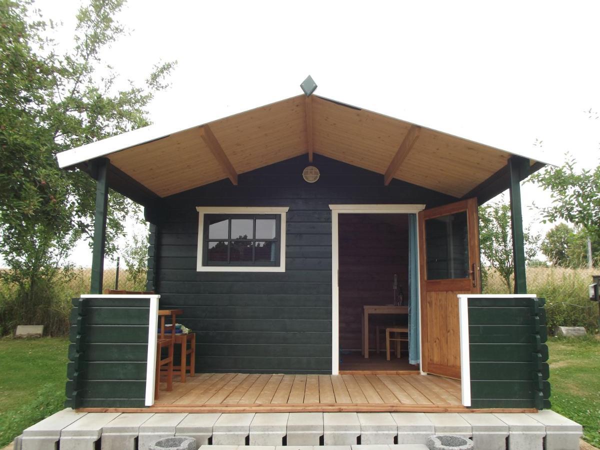 Camping & Guest House Pliskovice Mirovice Dış mekan fotoğraf