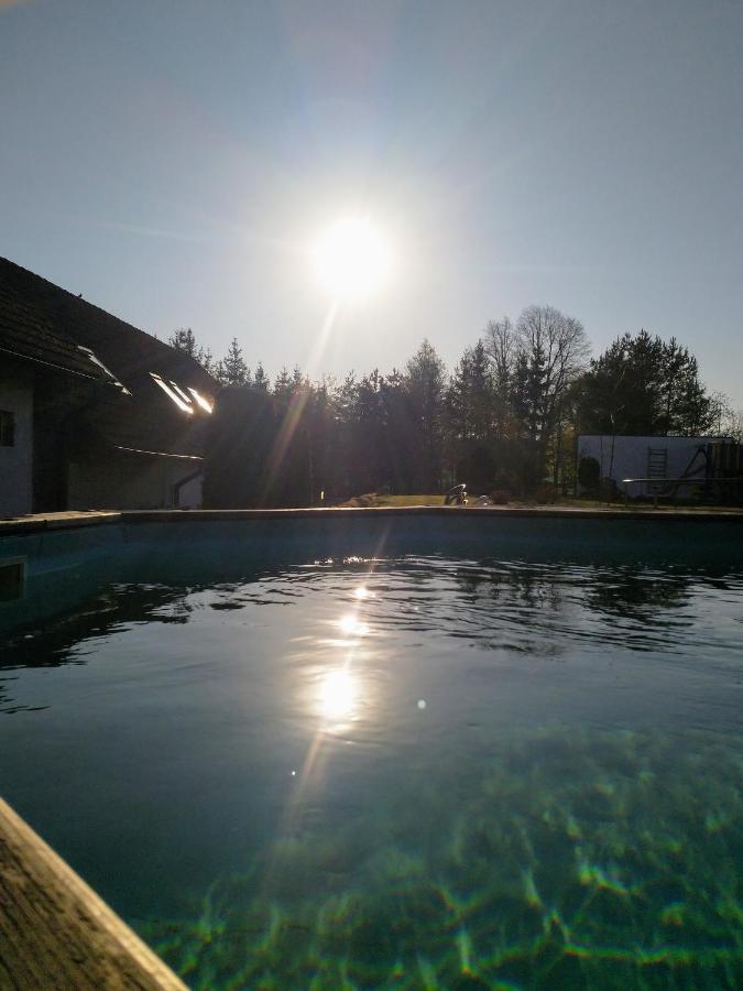 Camping & Guest House Pliskovice Mirovice Dış mekan fotoğraf