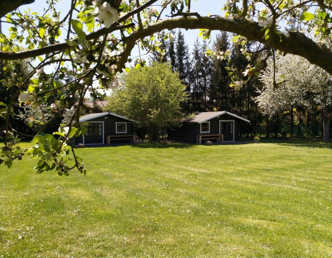 Camping & Guest House Pliskovice Mirovice Dış mekan fotoğraf