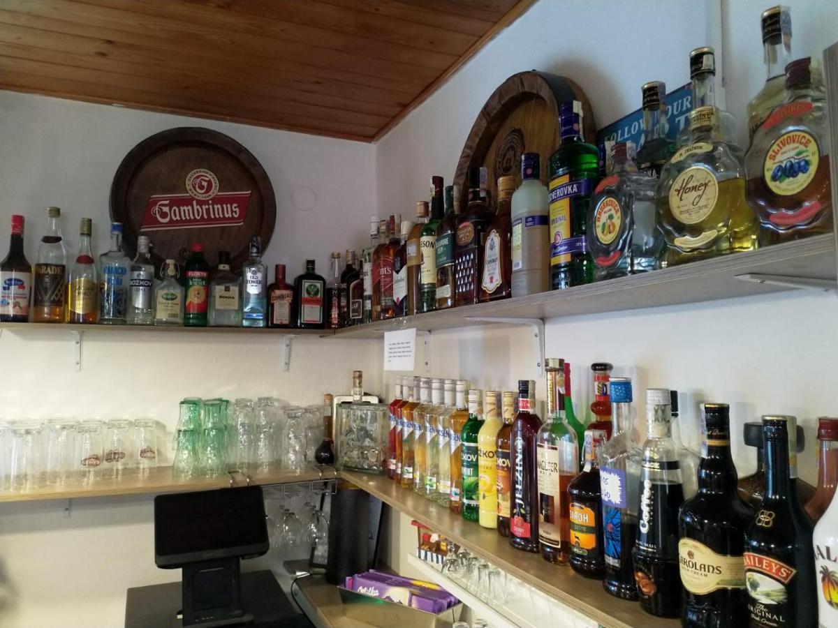 Camping & Guest House Pliskovice Mirovice Dış mekan fotoğraf