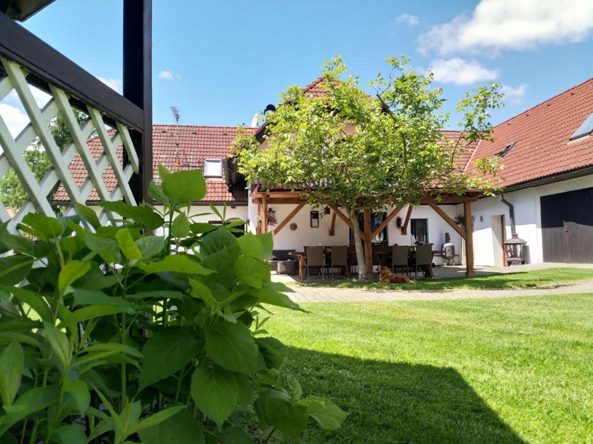 Camping & Guest House Pliskovice Mirovice Dış mekan fotoğraf