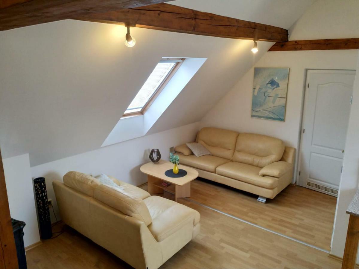 Camping & Guest House Pliskovice Mirovice Dış mekan fotoğraf