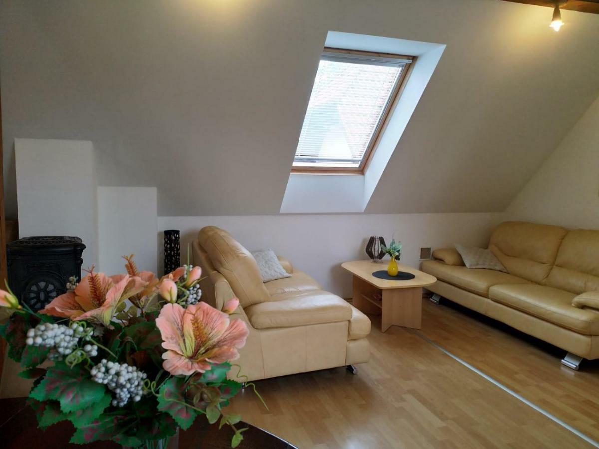 Camping & Guest House Pliskovice Mirovice Dış mekan fotoğraf